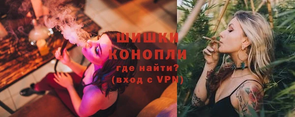 дурь Богданович
