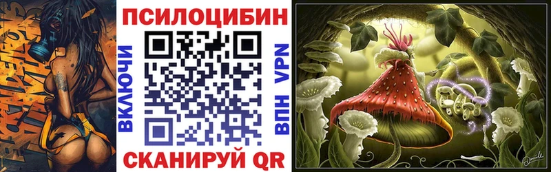 где купить наркотик  Волжск  Галлюциногенные грибы Psilocybine cubensis 